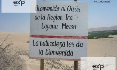 Terreno  en Venta, Humay Pisco