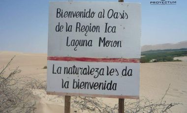 Terreno  en Venta, Humay Pisco