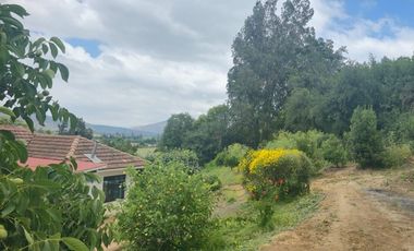 Terreno agrícola perfecto para Paltos o Cítricos