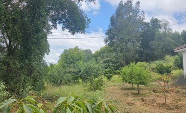 Terreno agrícola perfecto para Paltos o Cítricos