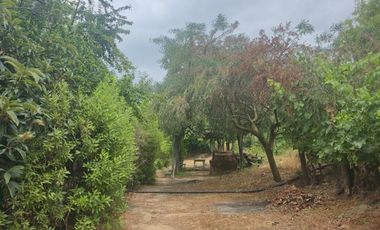 Terreno agrícola perfecto para Paltos o Cítricos