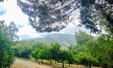 Terreno agrícola perfecto para Paltos o Cítricos