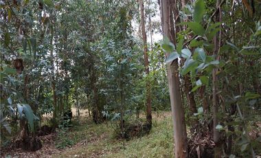 OPORTUNIDAD¡¡ PARCELA A UN EXCELENTE PRECIO