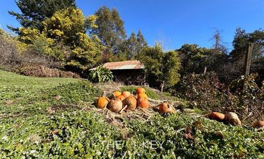 Casa en Venta en Camino Villarrica Pucon