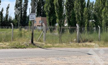 En Alquiler | Lote Comercial de 5.000 m2 | Av. Mosconi y Felipe Sapag | Plottier