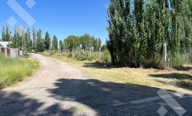 En Alquiler | Lote Comercial de 5.000 m2 | Av. Mosconi y Felipe Sapag | Plottier
