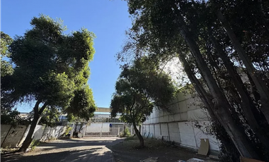 Arriendo local comercial, Centro de Quillota