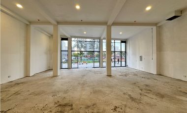 Arriendo local comercial, Metro Irarrázaval