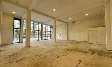 Arriendo local comercial, Metro Irarrázaval