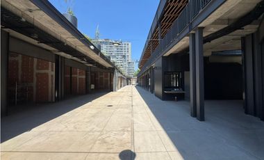 Arriendo de Locales Comerciales, San Diego, Santiago