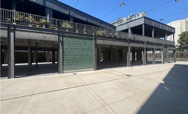 Arriendo de Locales Comerciales, San Diego, Santiago