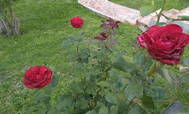 VENDO HERMOSA CABAÑA  - Villa la Ribera - Timbues