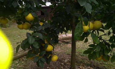 VENDO HERMOSA CABAÑA  - Villa la Ribera - Timbues