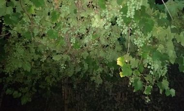 VENDO HERMOSA CABAÑA  - Villa la Ribera - Timbues