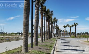 Lote en venta en Puerto Nizuc - Oportunidad de inversión en Guillermo Hudson