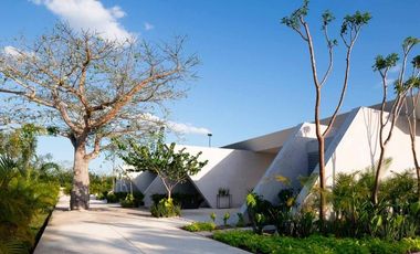 Terreno en Venta en Residencial Blanca Mérida