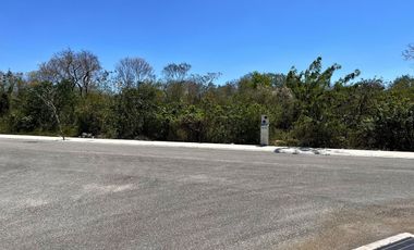 Terreno en Venta en Residencial Blanca Mérida