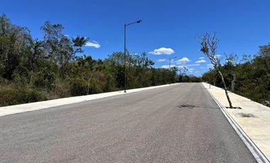 Terreno en Venta en Residencial Blanca Mérida