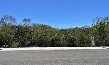 Terreno en Venta en Residencial Blanca Mérida