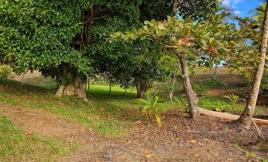 VENTA DE LOTE EN CAYO AGUA, BOCAS DEL TORO