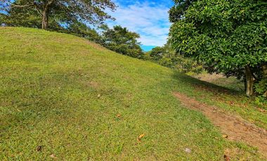 VENTA DE LOTE EN CAYO AGUA, BOCAS DEL TORO