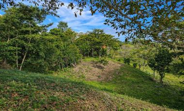 VENTA DE LOTE EN CAYO AGUA, BOCAS DEL TORO