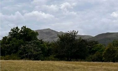 ALQUILER CASA HERMOSA RODEADA DE NATURALEZA A 10 MTS DE PENONOME LT