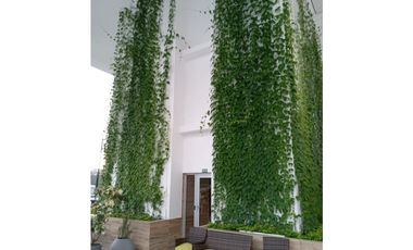 ALQUILER APARTAMENTO SAN MIGUELITO