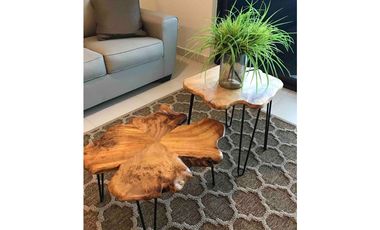 ALQUILER APARTAMENTO AMOBLADO SAN CARLOS