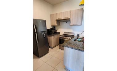 ALQUILER APARTAMENTO AMOBLADO SAN CARLOS