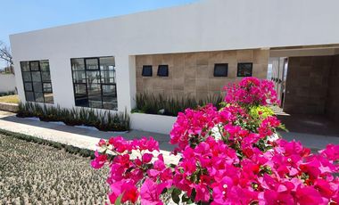Departamento en Venta en el Fraccionamiento Lomas del Pedregal