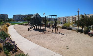 Departamento en Arriendo en Centro de Papudo