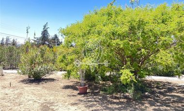 Parcela en Venta en Guanaqueros