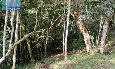 Terreno en Venta Ubicado en GUARNE Codigo 2834