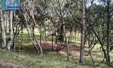 Terreno en Venta Ubicado en GUARNE Codigo 2834