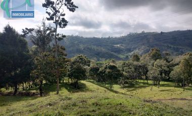 Terreno en Venta Ubicado en GUARNE Codigo 2834