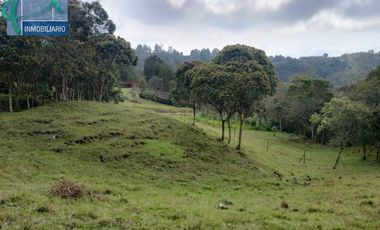 Terreno en Venta Ubicado en GUARNE Codigo 2834