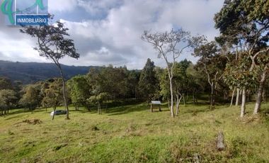 Terreno en Venta Ubicado en GUARNE Codigo 2834