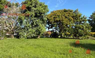 Casa en Concordia