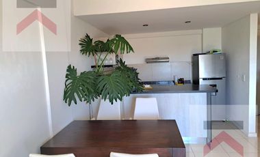 Alquiler Dpto. 2 Ambientes -Ed. Insignia El Palmar- NORDELTA