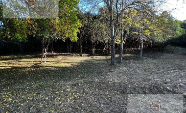Casa de Alquiler Temporal, 4 Dormitorios, Mendiolaza, Estancia Q2