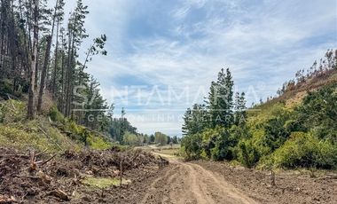 Sitio en Venta en Fundo Las Peñas, Arauco