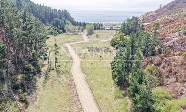 Sitio en Venta en Fundo Las Peñas, Arauco