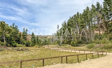 Sitio en Venta en Fundo Las Peñas, Arauco