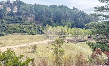 Sitio en Venta en Fundo Las Peñas, Arauco