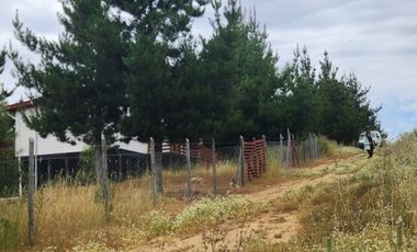 PARCELA CON CASA SEXTA REGION BRISAS DE BUCALEMU
