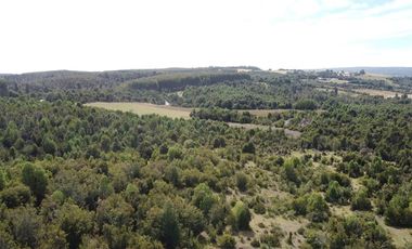 Venta de hermosas parcelas en los Muermos