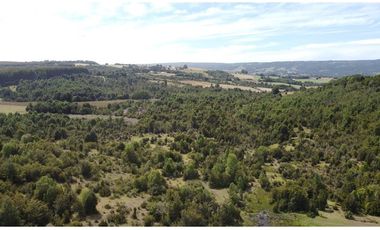 Venta de hermosas parcelas en los Muermos