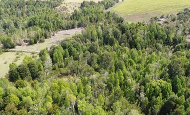 Venta de hermosas parcelas en los Muermos
