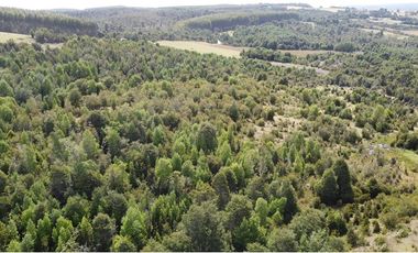 Venta de hermosas parcelas en los Muermos